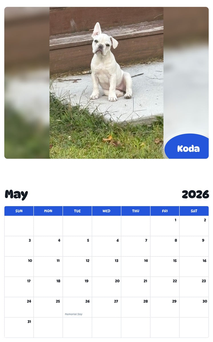 2026 - 2027 Koda - Pawidols Pet Calendar