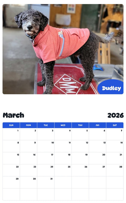 November 2025 - October 2026 Dudley - Pawidols Pet Calendar