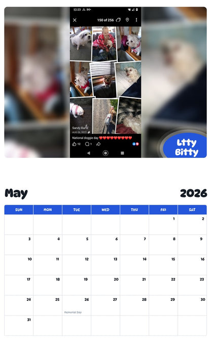 2026 - 2027 Ltty Bitty - Pawidols Pet Calendar