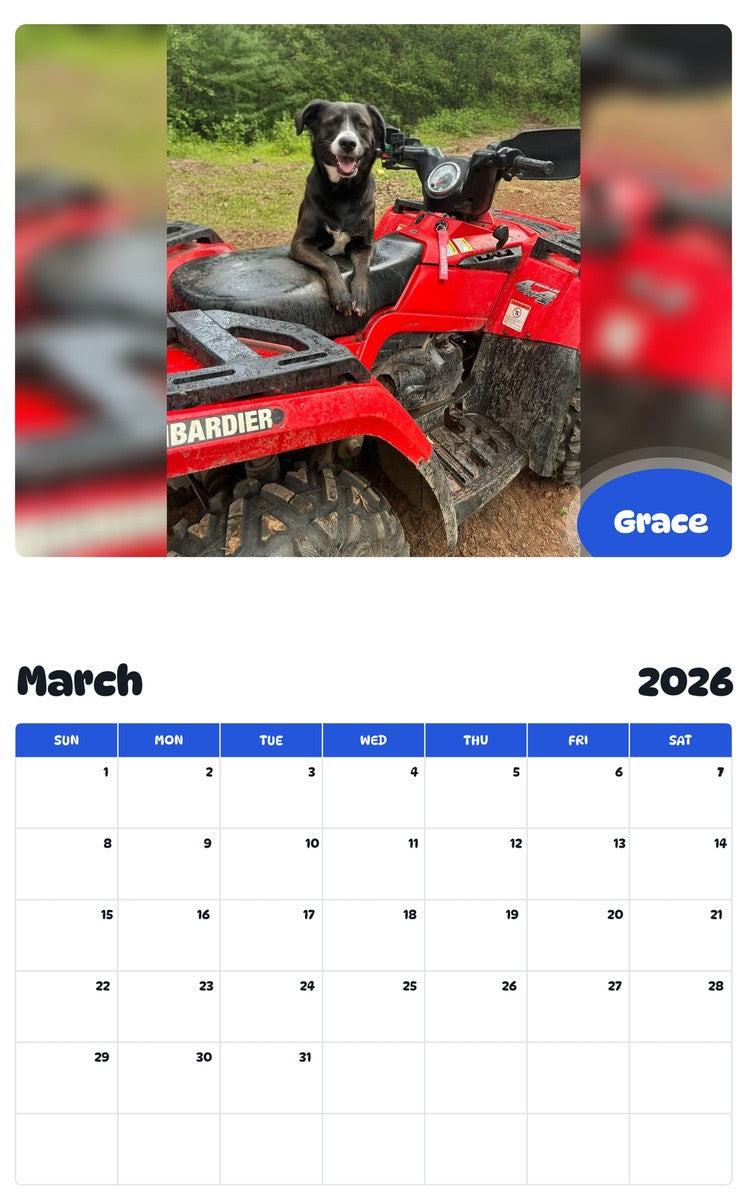 November 2025 - October 2026 Grace - Pawidols Pet Calendar