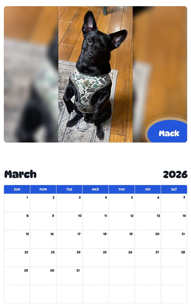 November 2025 - October 2026 Mack - Pawidols Pet Calendar