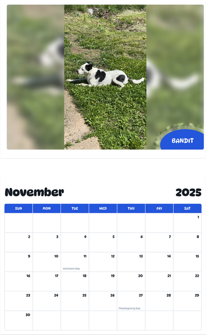 July 2025 - June 2026 Bandit - Pawidols Pet Calendar
