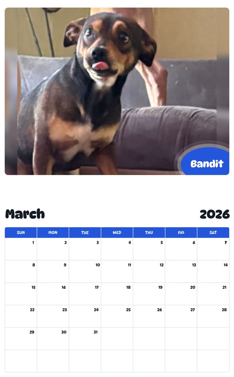 November 2025 - October 2026 Bandit - Pawidols Pet Calendar