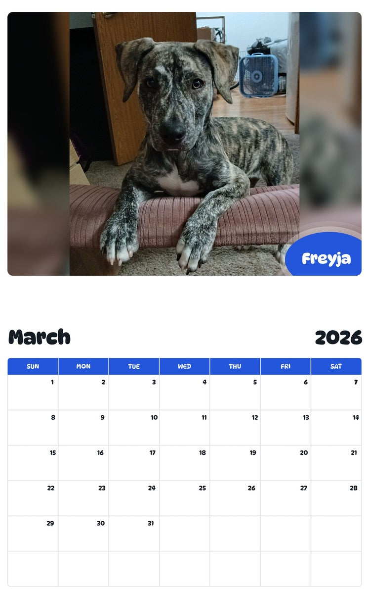 November 2025 - October 2026 Freyja - Pawidols Pet Calendar