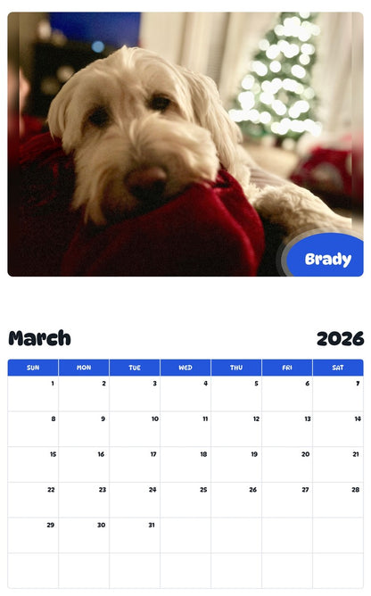 November 2025 - October 2026 Brady - Pawidols Pet Calendar