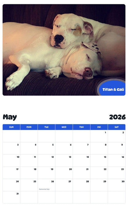 2026 - 2027 Titan & Cali - Pawidols Pet Calendar
