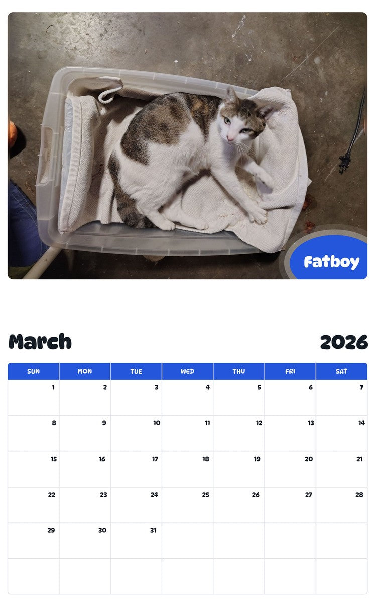 November 2025 - October 2026 Fatboy - Pawidols Pet Calendar