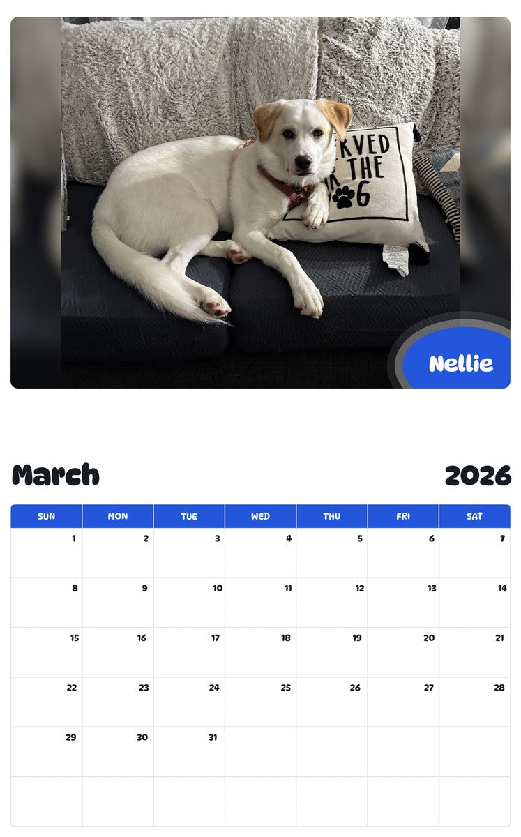 November 2025 - October 2026 Nellie - Pawidols Pet Calendar