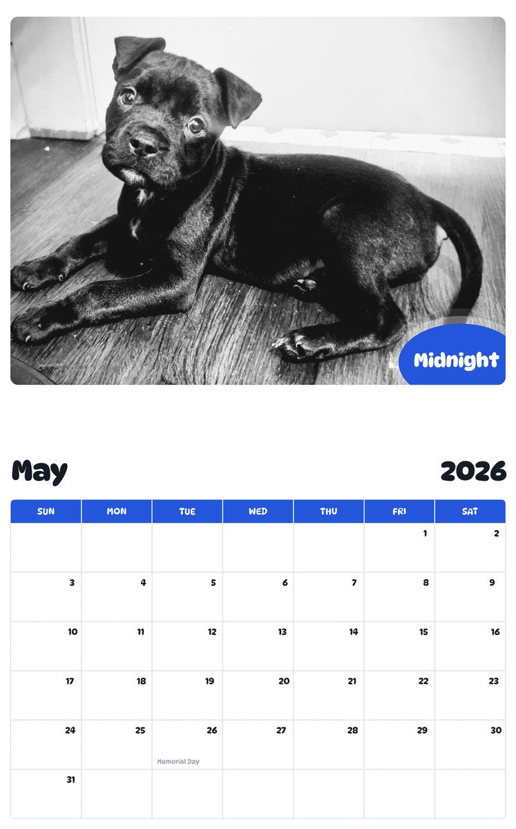 2026 - 2027 Midnight - Pawidols Pet Calendar
