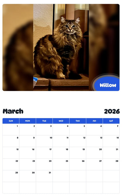 November 2025 - October 2026 Willow - Pawidols Pet Calendar