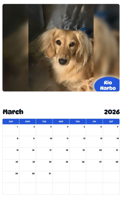 November 2025 - October 2026 Rio Narbo - Pawidols Pet Calendar