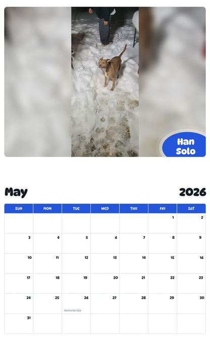 2026 - 2027 Han Solo - Pawidols Pet Calendar