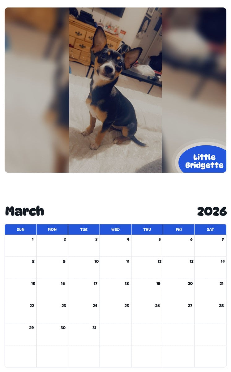 November 2025 - October 2026 Little Bridgette - Pawidols Pet Calendar