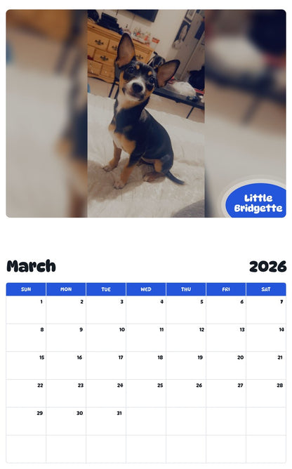 November 2025 - October 2026 Little Bridgette - Pawidols Pet Calendar