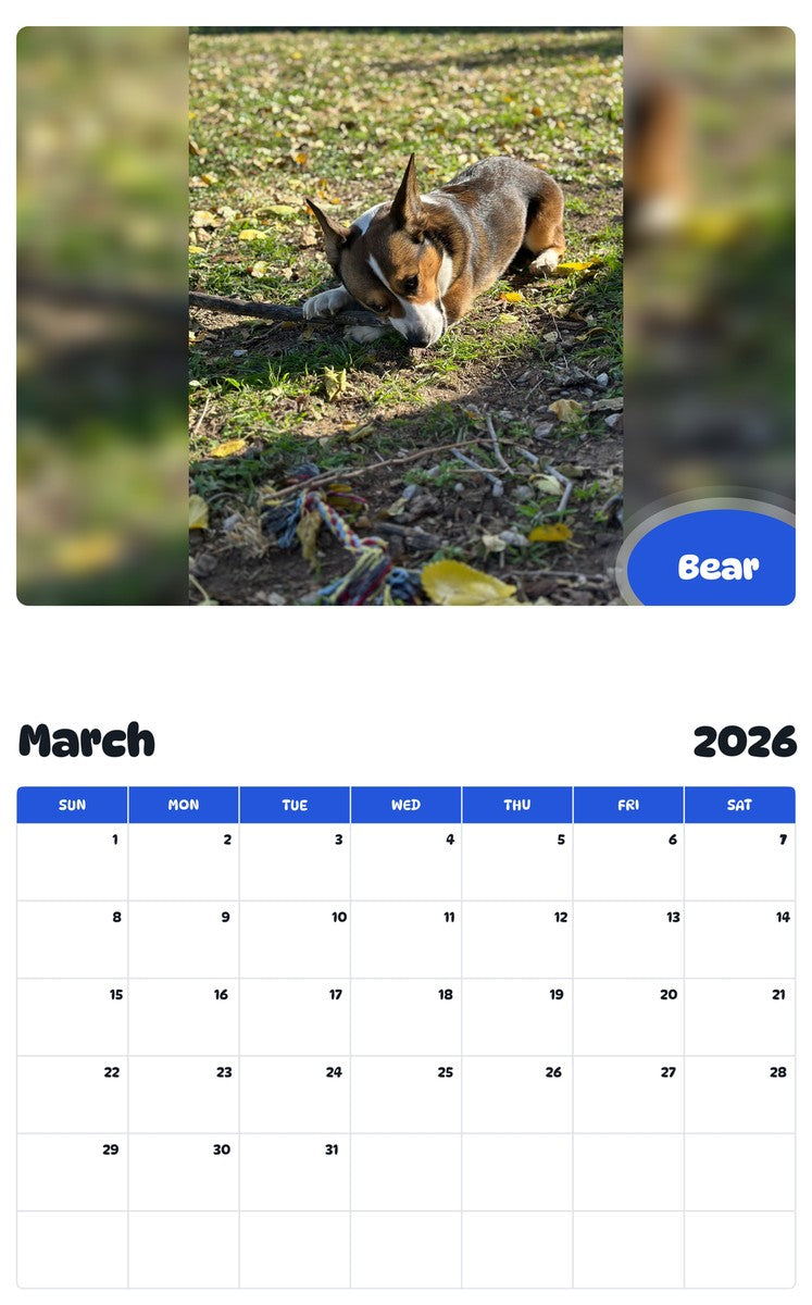 November 2025 - October 2026 Bear - Pawidols Pet Calendar