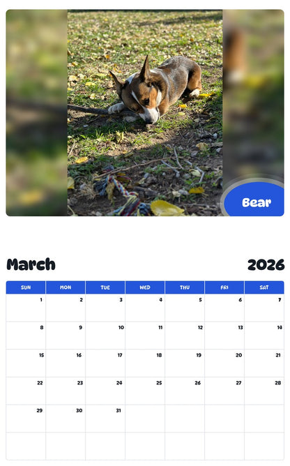 November 2025 - October 2026 Bear - Pawidols Pet Calendar