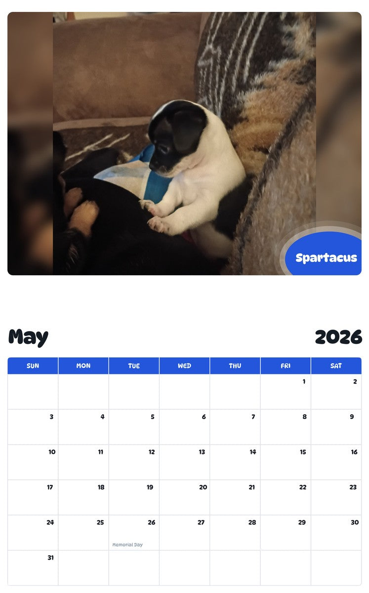 2026 - 2027 Spartacus - Pawidols Pet Calendar
