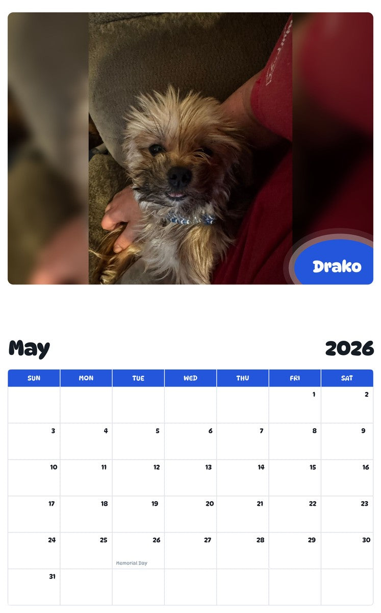 2026 - 2027 Drako - Pawidols Pet Calendar
