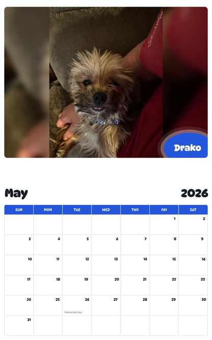 2026 - 2027 Drako - Pawidols Pet Calendar