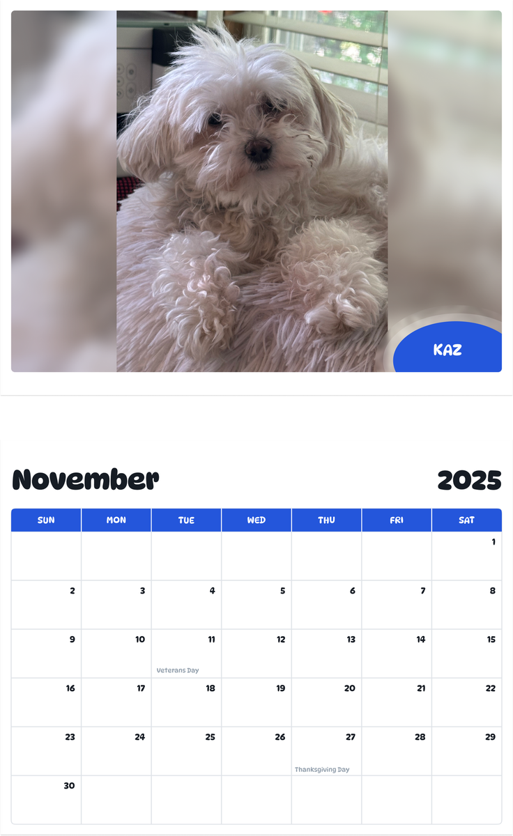 July 2025 - June 2026 Kaz - Pawidols Pet Calendar