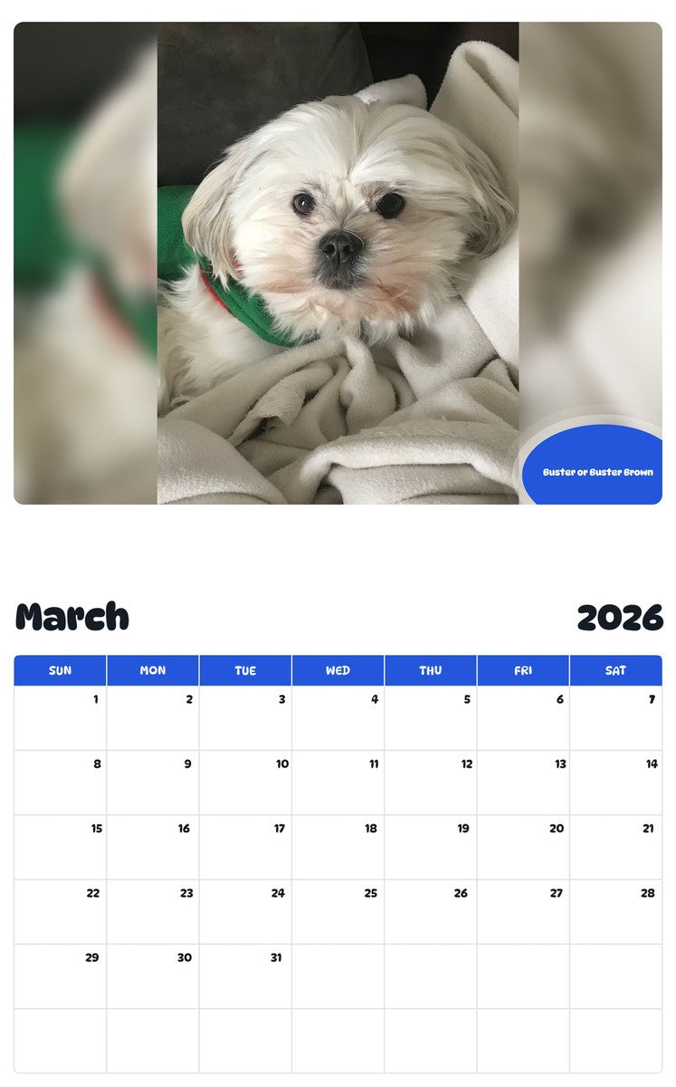 November 2025 - October 2026 Buster or Buster Brown - Pawidols Pet Calendar