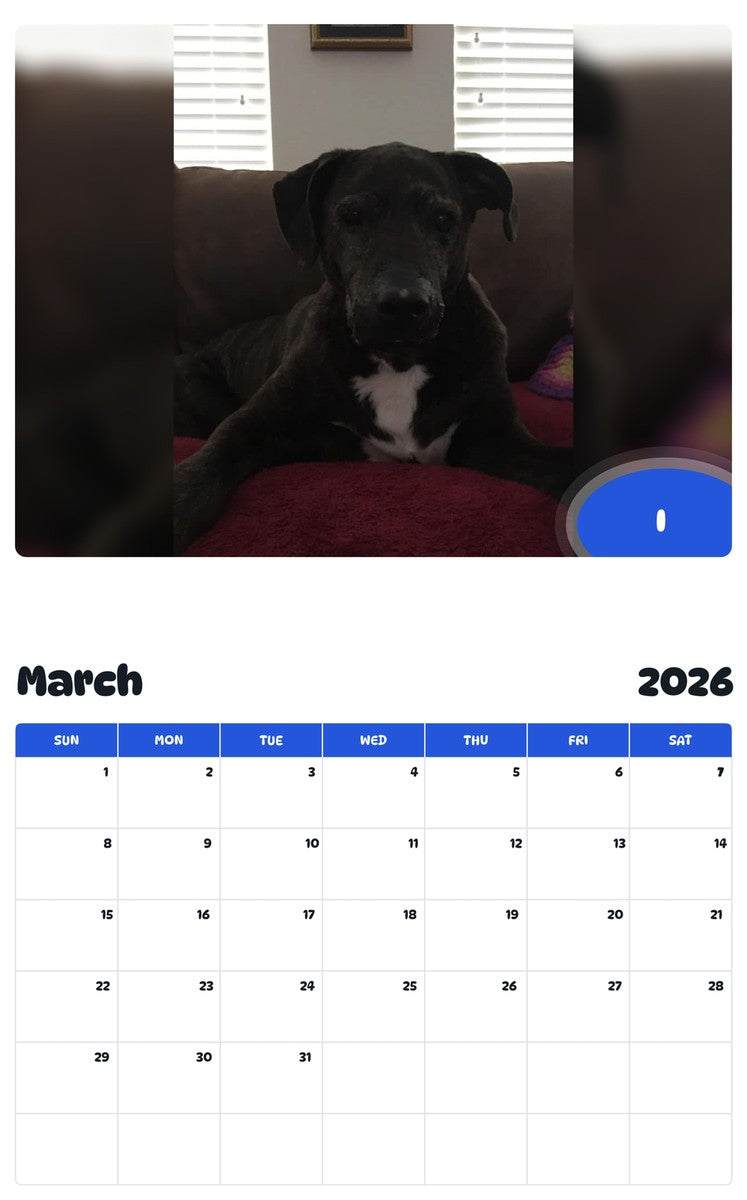 November 2025 - October 2026 I - Pawidols Pet Calendar