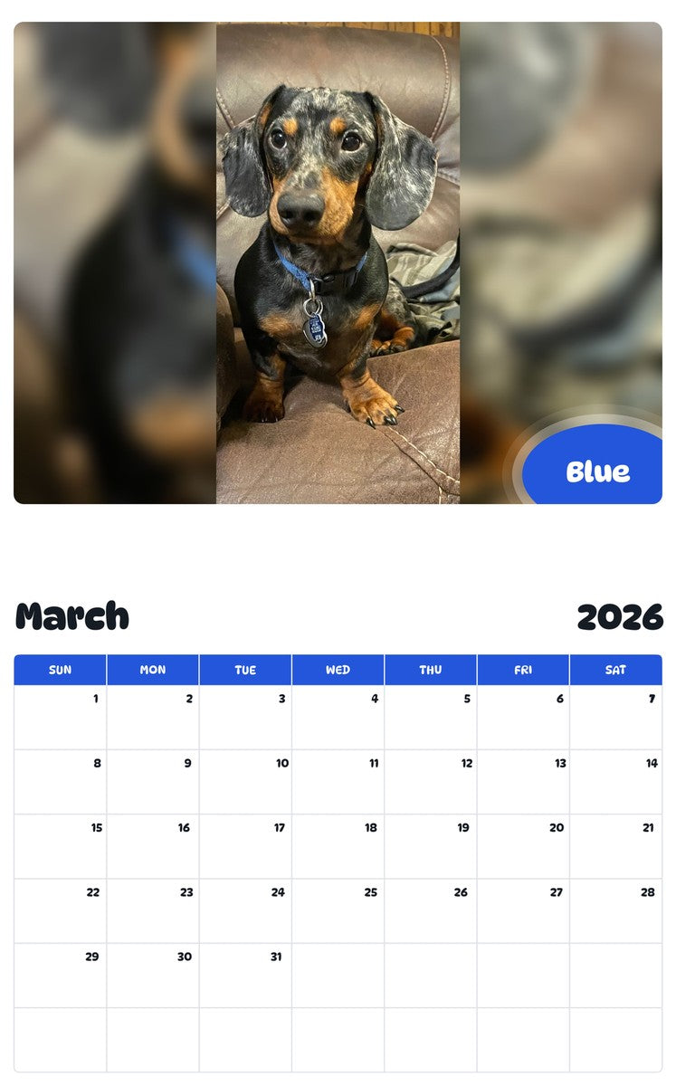 November 2025 - October 2026 Blue - Pawidols Pet Calendar