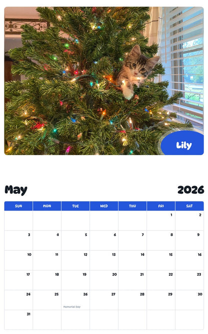 2026 - 2027 Lily - Pawidols Pet Calendar