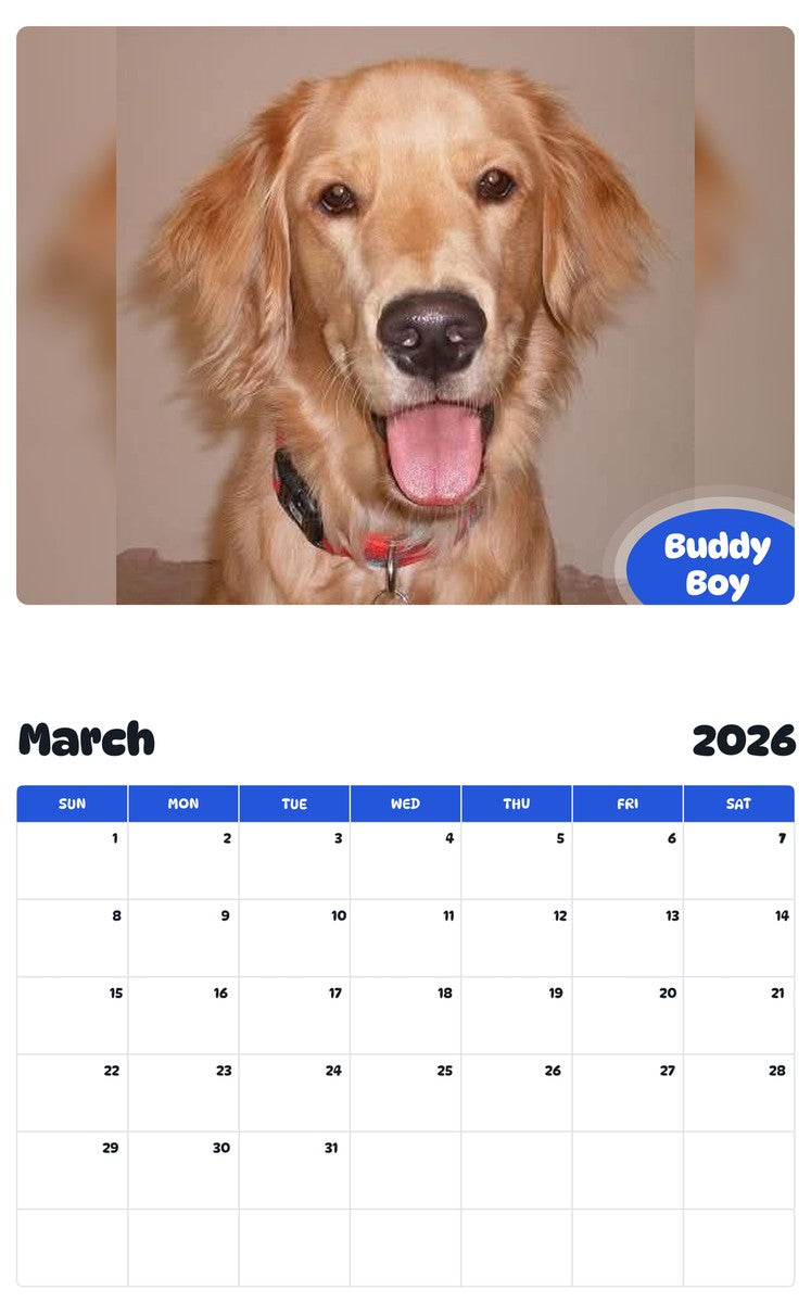 November 2025 - October 2026 Buddy Boy - Pawidols Pet Calendar
