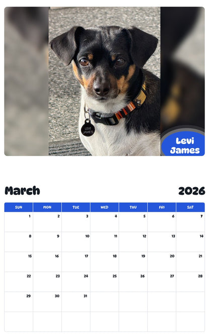 November 2025 - October 2026 Levi James - Pawidols Pet Calendar