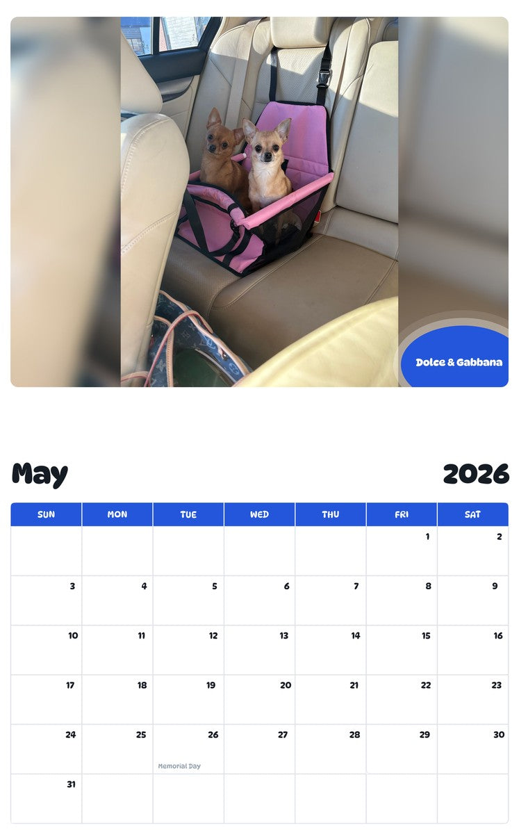 2026 - 2027 Dolce & Gabbana - Pawidols Pet Calendar