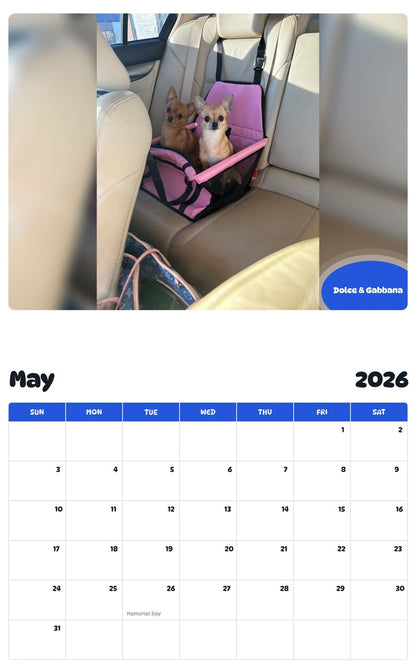 2026 - 2027 Dolce & Gabbana - Pawidols Pet Calendar