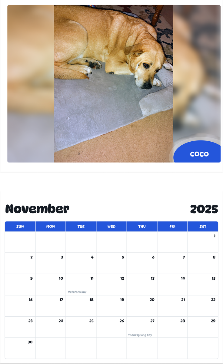 July 2025 - June 2026 Coco - Pawidols Pet Calendar