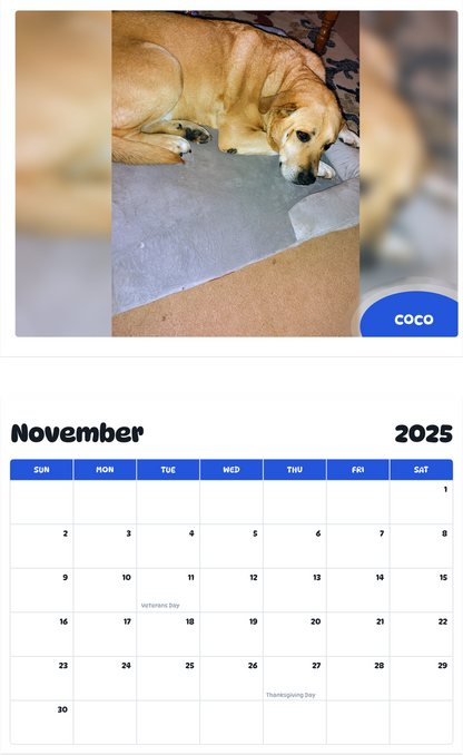 July 2025 - June 2026 Coco - Pawidols Pet Calendar