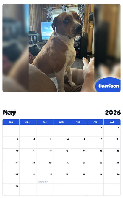 2026 - 2027 Harrison - Pawidols Pet Calendar