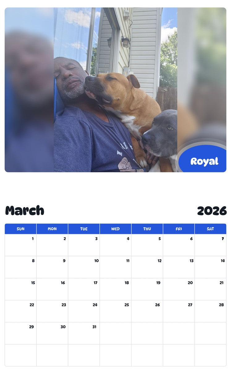 November 2025 - October 2026 Royal - Pawidols Pet Calendar