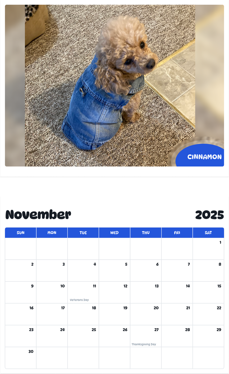 July 2025 - June 2026 Cinnamon - Pawidols Pet Calendar