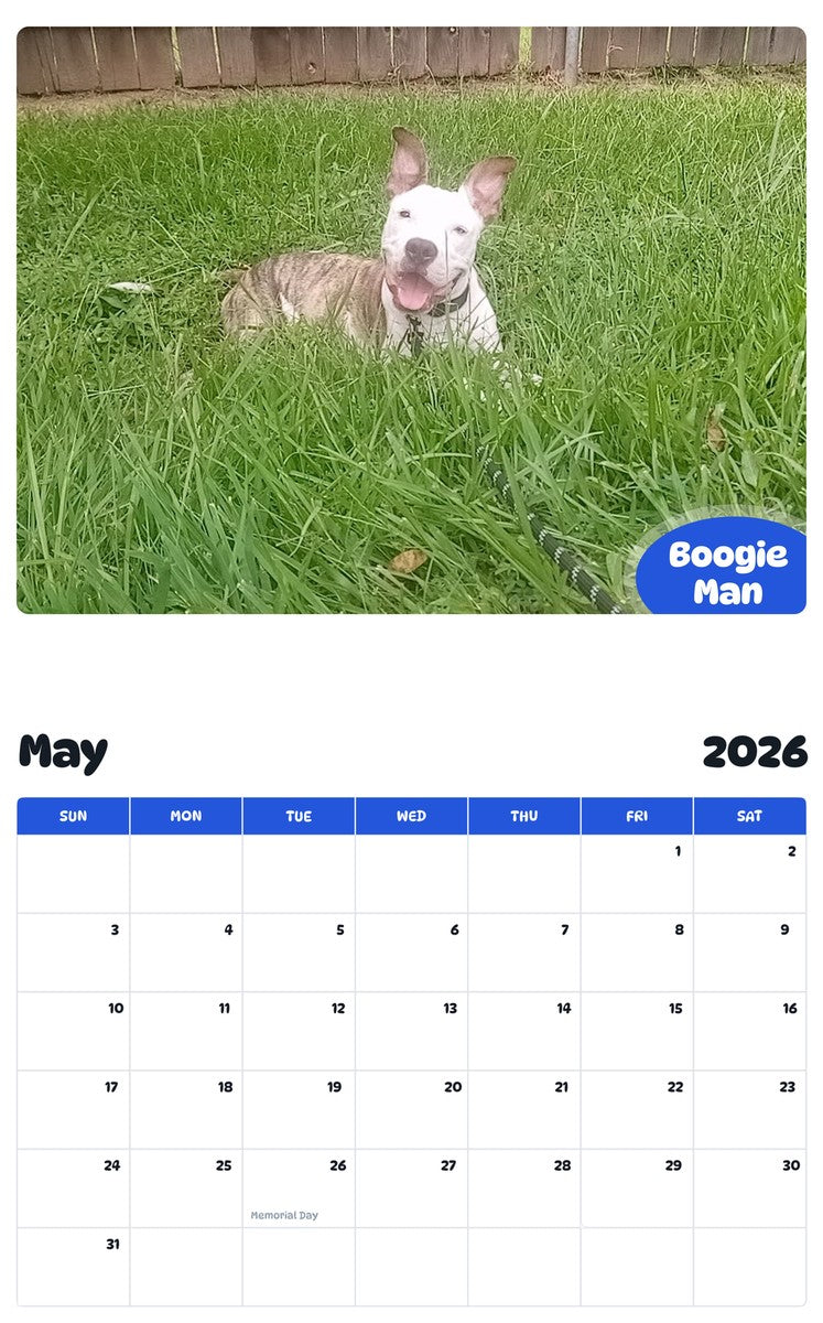 2026 - 2027 Boogie Man - Pawidols Pet Calendar