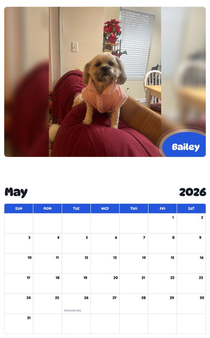 2026 - 2027 Bailey - Pawidols Pet Calendar