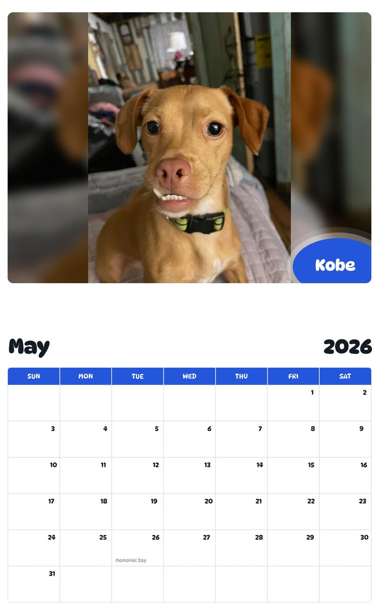 2026 - 2027 Kobe - Pawidols Pet Calendar