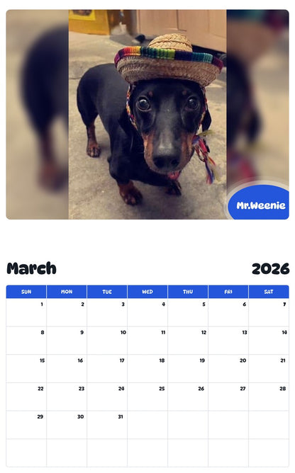 November 2025 - October 2026 Mr.Weenie - Pawidols Pet Calendar