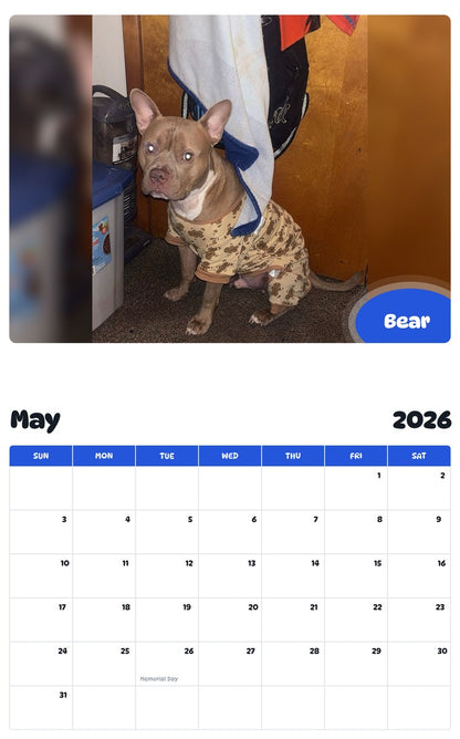 2026 - 2027 Bear - Pawidols Pet Calendar