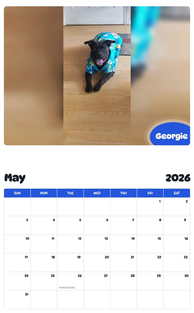 2026 - 2027 Georgie - Pawidols Pet Calendar