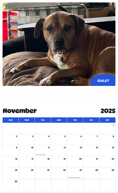 July 2025 - June 2026 Bailey - Pawidols Pet Calendar
