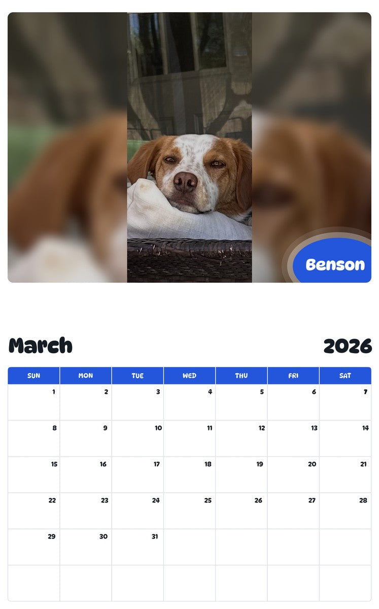 November 2025 - October 2026 Benson - Pawidols Pet Calendar
