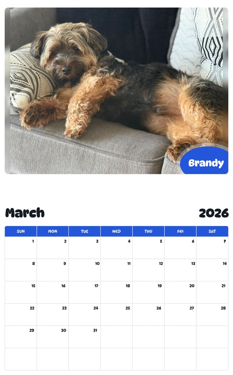 November 2025 - October 2026 Brandy - Pawidols Pet Calendar