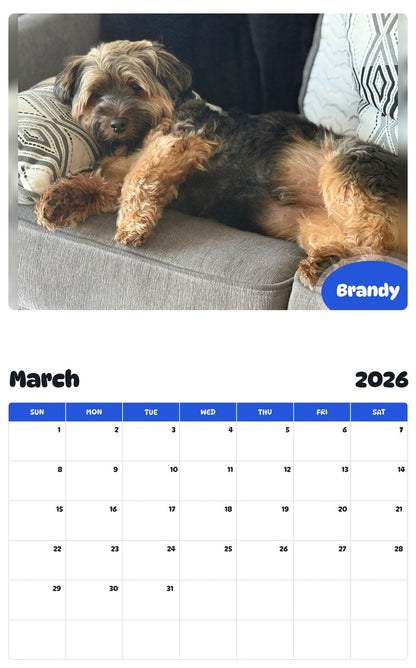 November 2025 - October 2026 Brandy - Pawidols Pet Calendar