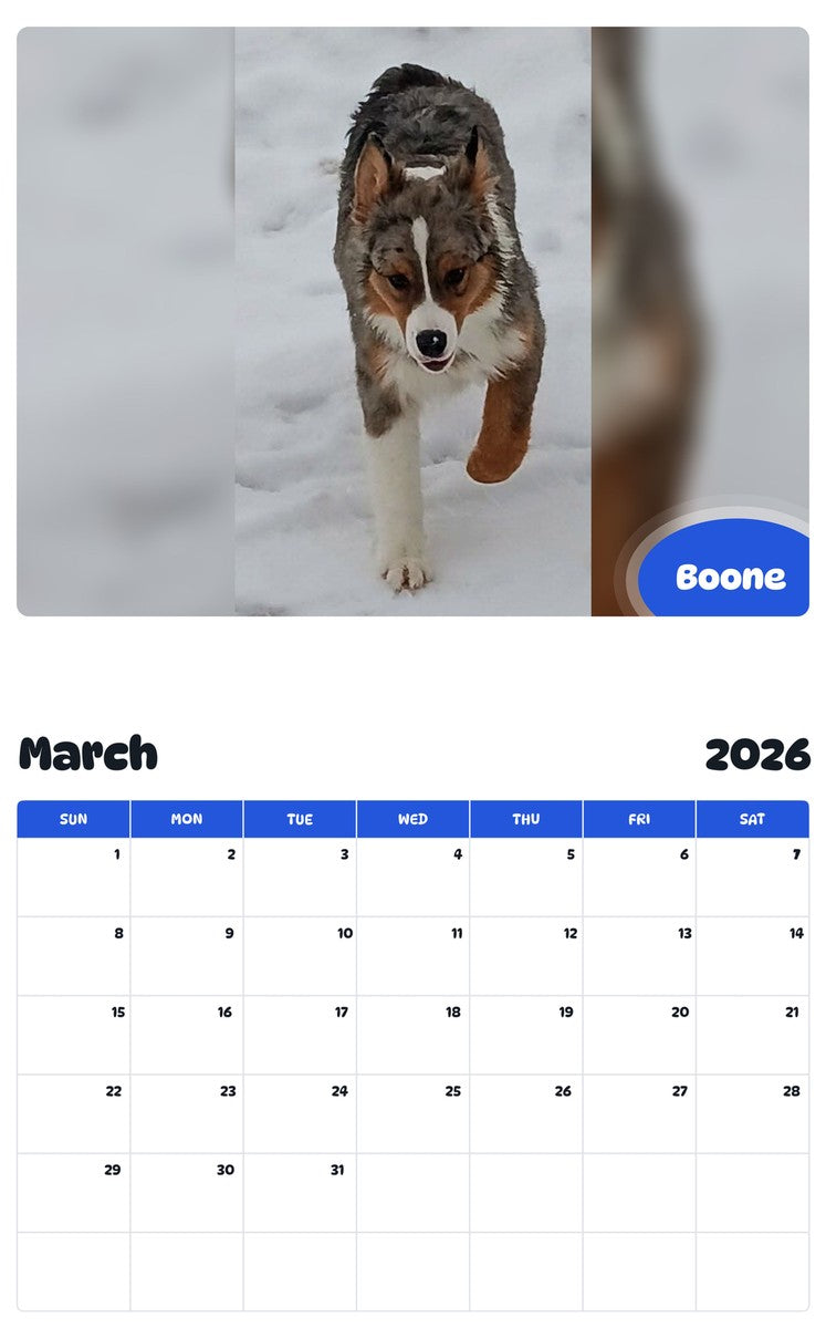 November 2025 - October 2026 Boone - Pawidols Pet Calendar