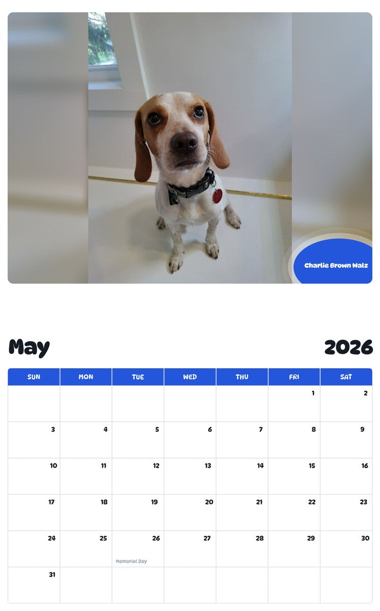 2026 - 2027 Charlie Brown Walz - Pawidols Pet Calendar