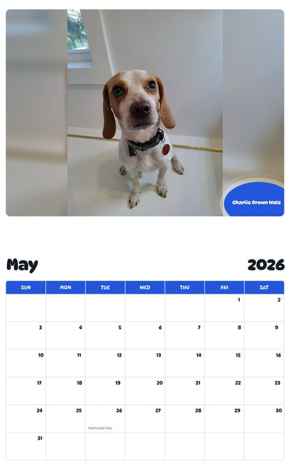 2026 - 2027 Charlie Brown Walz - Pawidols Pet Calendar